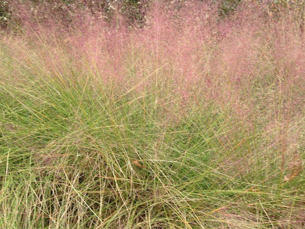 original?tenant=vbu-digital