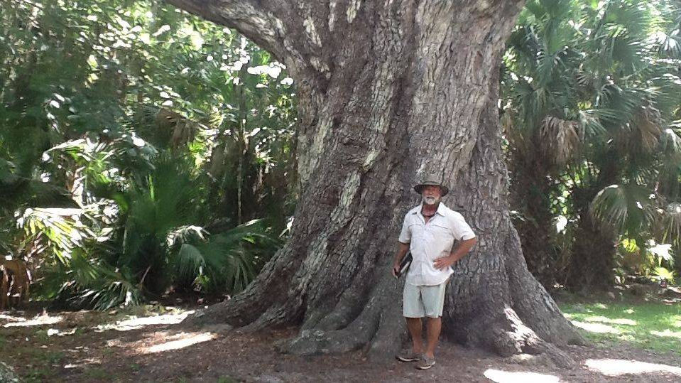 Graham Orr - The Tree MD - ISA Certified Arborist