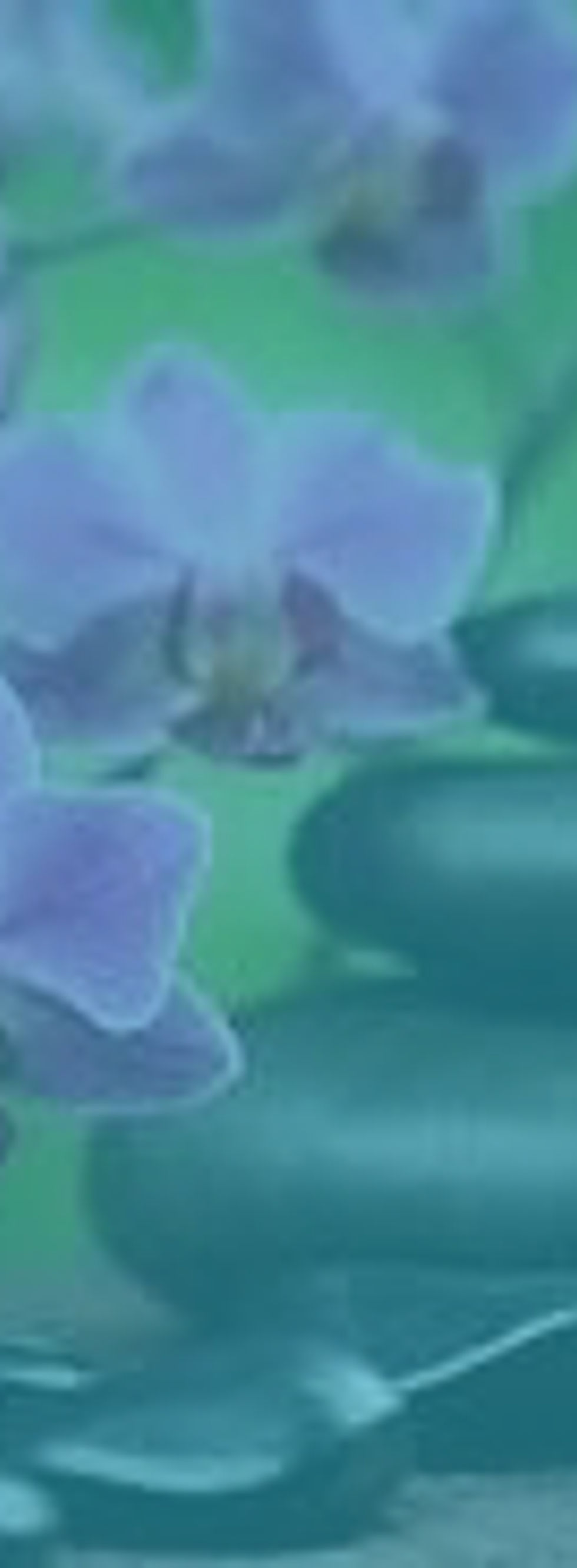 bgImage