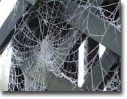 original?tenant=vbu-digital