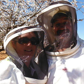 Bees are our passion