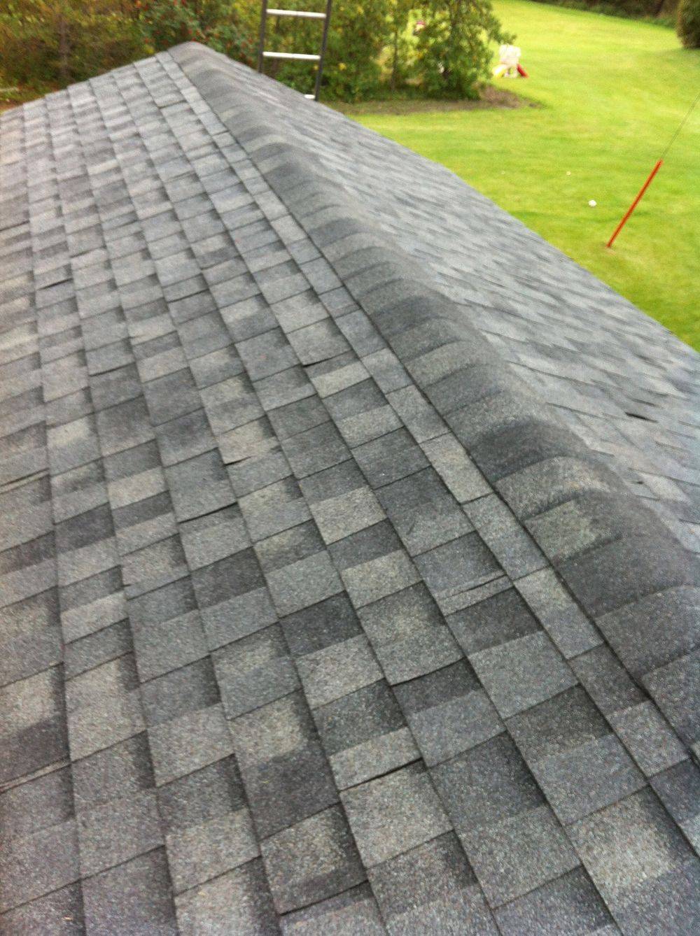Asphalt shingle re-roof Spruce Grove