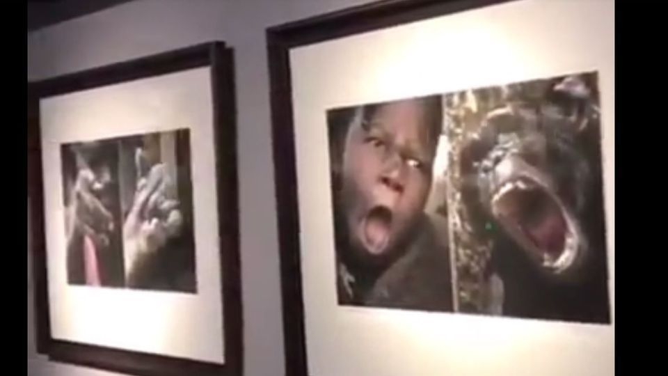 Chine : Expo où les noirs sont comparés aux animaux