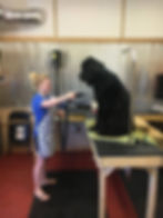 original?tenant=vbu-digital