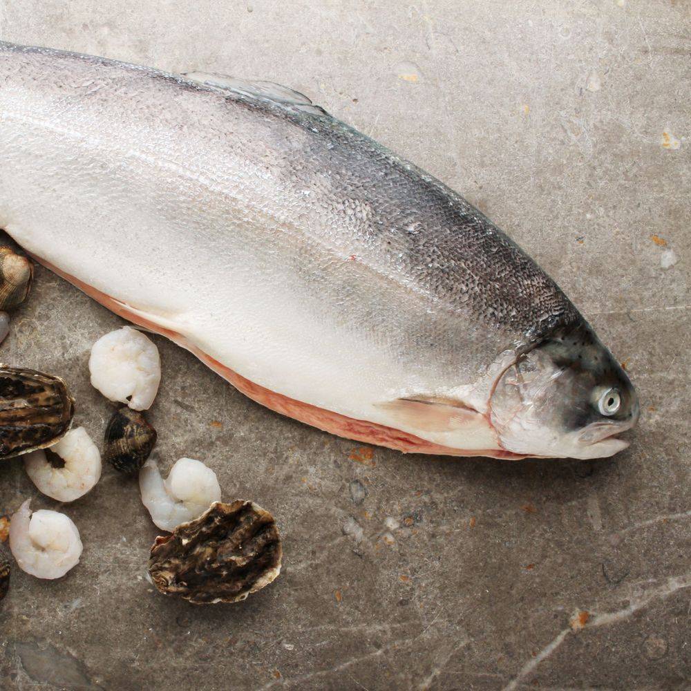 Forfaits de chasse aux oiseaux au petit gibier — Agnew Lake Outfitters – Agnew Lake Outfitters