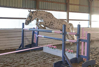 Pyxis jump