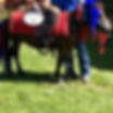 Girl wearing bunny ears standing next to white horse wearing bunny ears