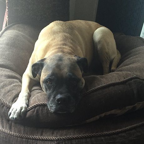 Zoey