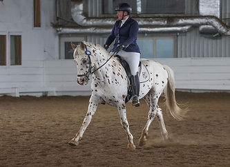 Pyx dressage