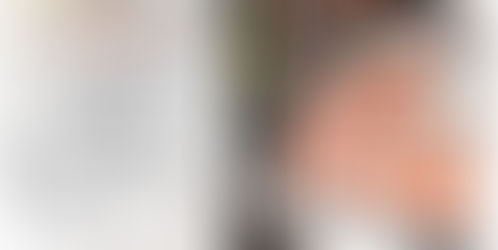 Praise for Fire Horses - free on Kindle until 1/3/21