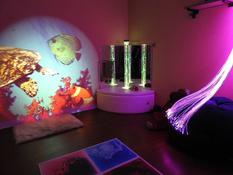 Northwest Pediatric Therapy sensory room