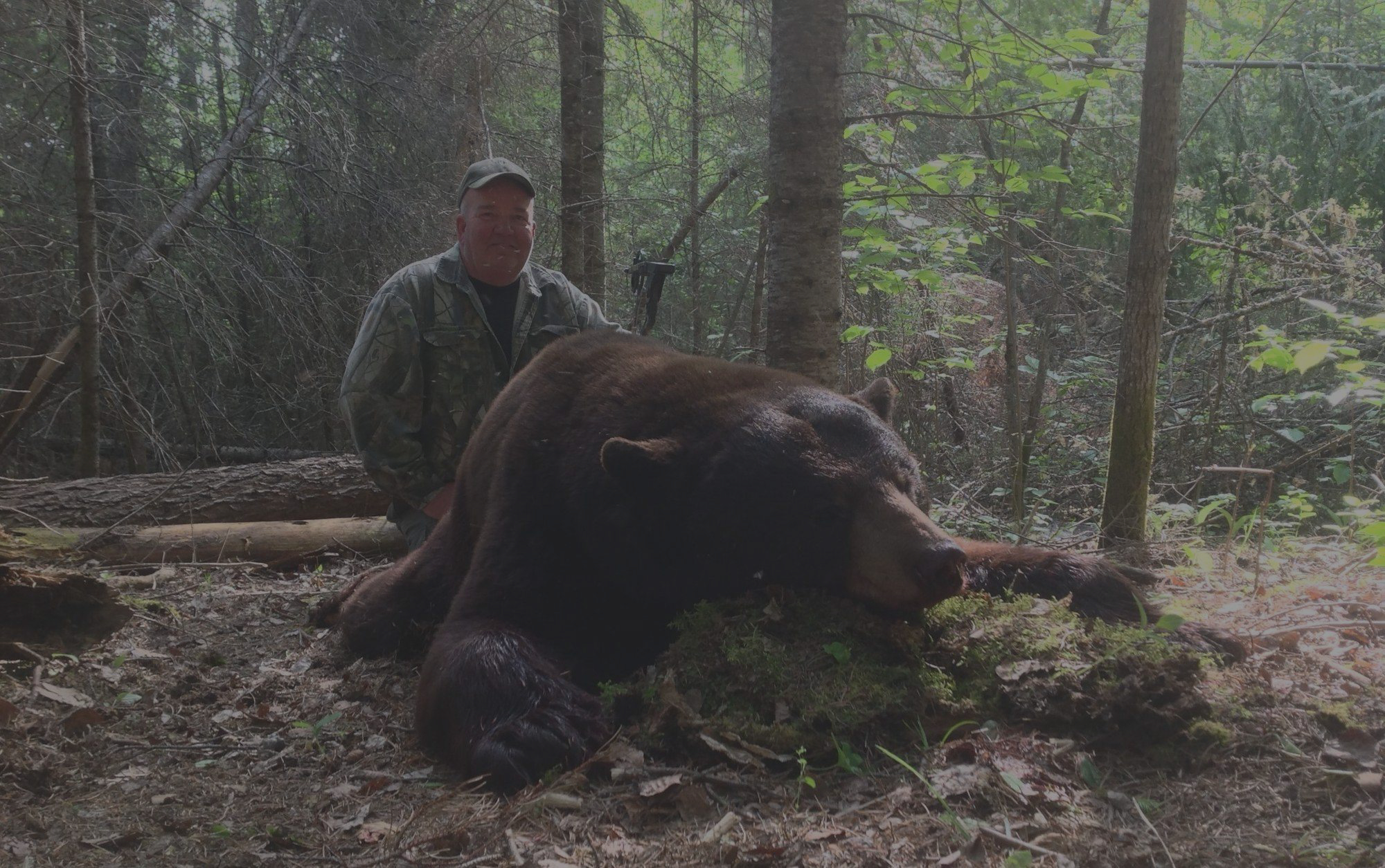 Black Bear Hunt — Hastings Bros. Outfitters – Hastings Bros. Outfitters