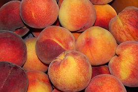 Afroglobal Trade LTD facilitates contract farming for peaches to international markets