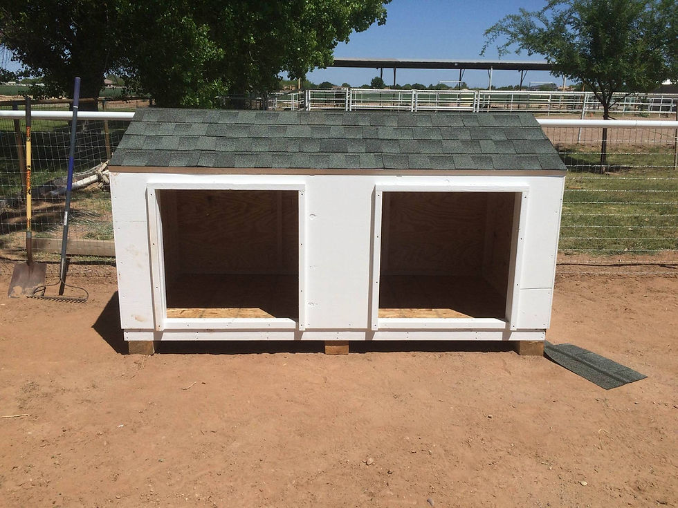 Thumbnail: XL Double Dog House
