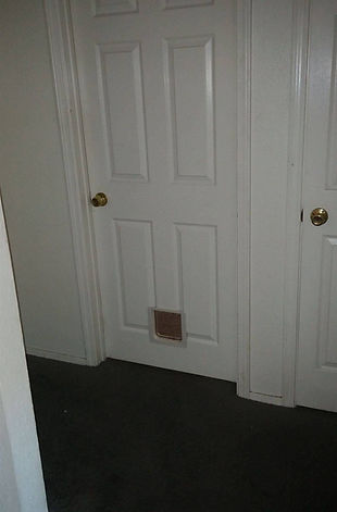 Pet door