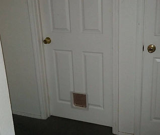 Pet door