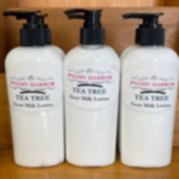 TEA TREE GOAT MILK LOTION