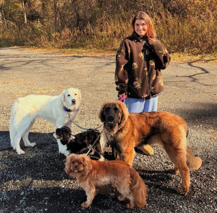 pack walks