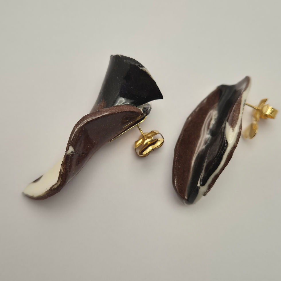 Miniatura: Brinco Córtex