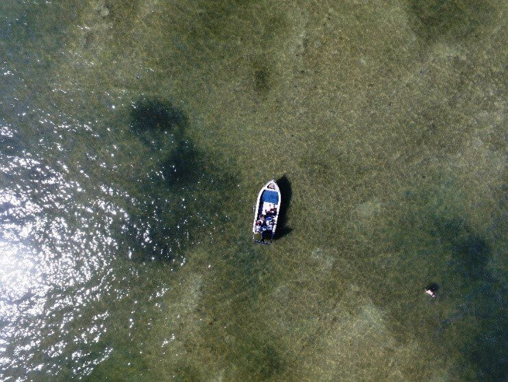 Drone photo showing black Lyngbya clumps on seagrass beds. Photo Stephen Faggotter