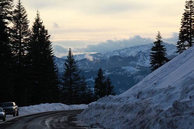 Screen Shot 2021-05-25 at 5.00.02 PM.png