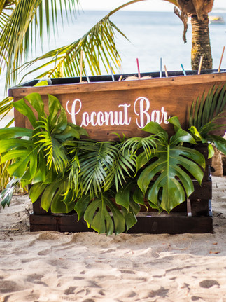 Coconut Bar lors d'un mariage au Costa Rica, les noix de coco sont dans une sorte de barque en bois sur la plage avec de la végétation 