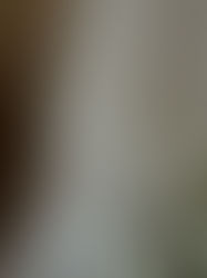 Zoom sur un panneau plan de table en lin mais en deux parties en long qui traine jusqu’au sol