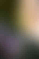 décoration couleur pastel, panneau de bienvenue en miroir et zoom sur la composition pastel au sol