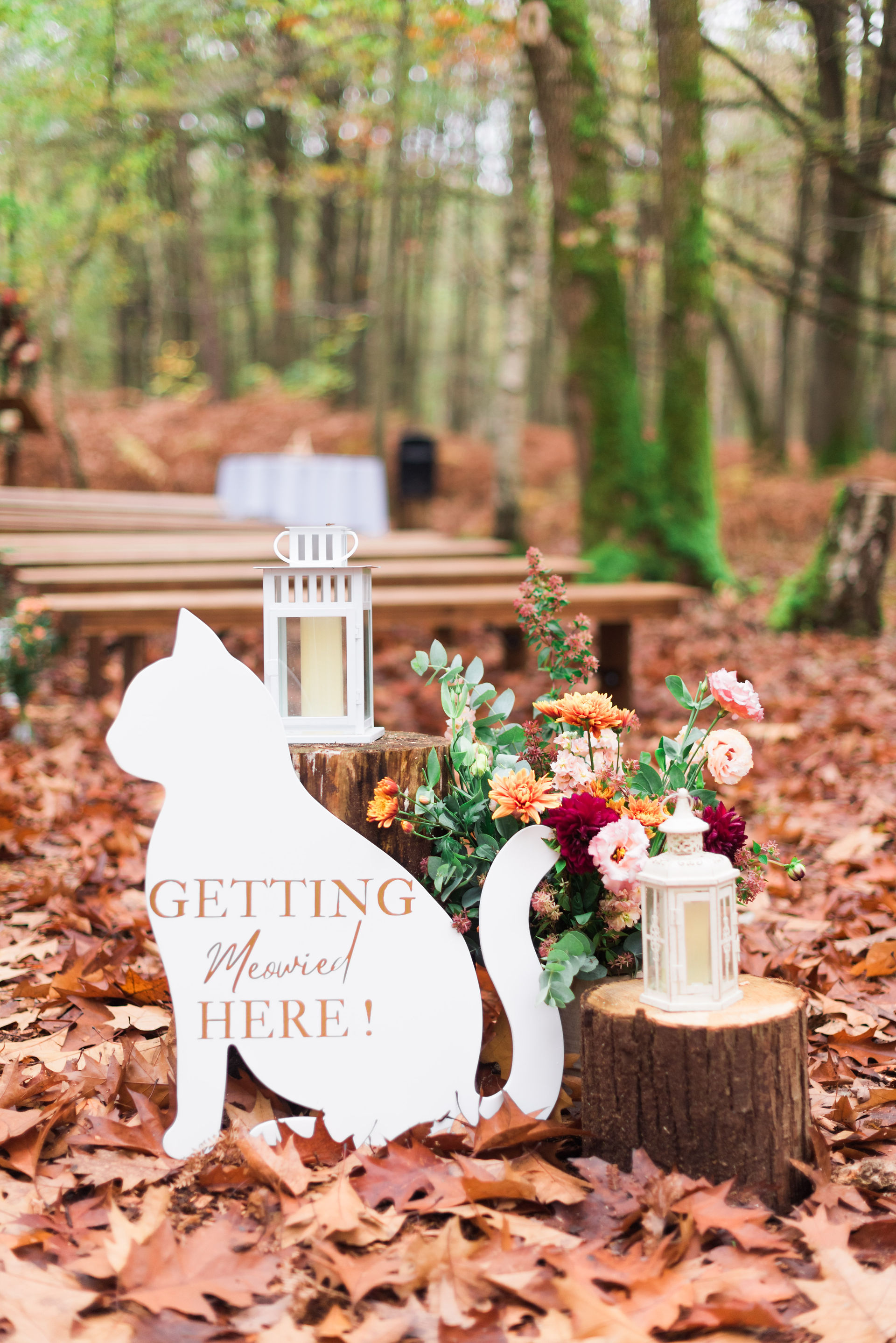 Chat d'accueil de mariage