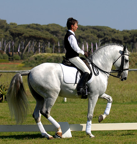 Heidi com cavalo lusitano Rouxinol