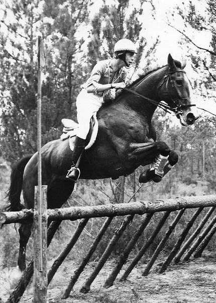 Criador João Pedro Rodrigues a saltar um obstáculo com cavalo lusitano