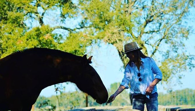 Mulher a dar de comer a um cavalo lusitano