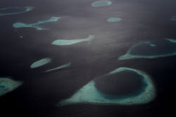 Let's Get High Series