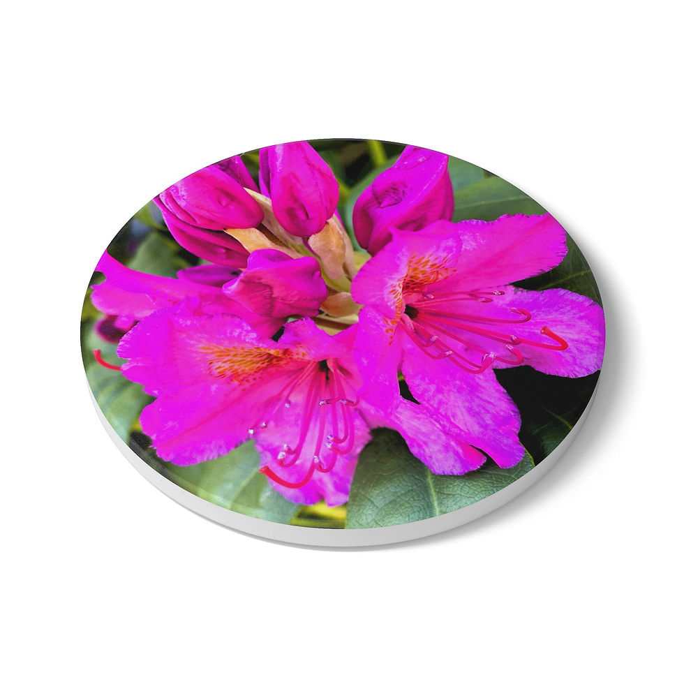 Thumbnail: Ceramic Coaster — Vibrant Pink Rhododendron Floral Drink Coaster