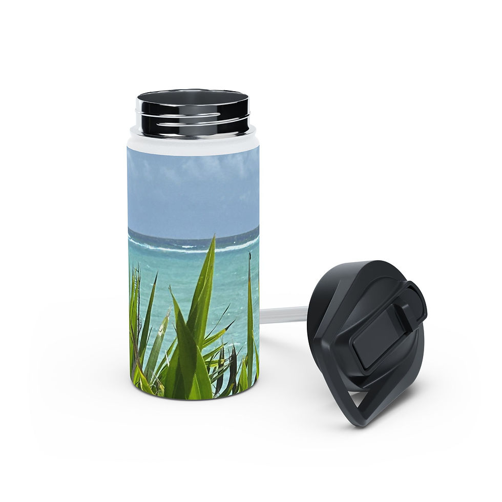 Thumbnail: Tropical Beach Stainless Steel Water Bottle — Mexico Caribbean Coast Ocean View