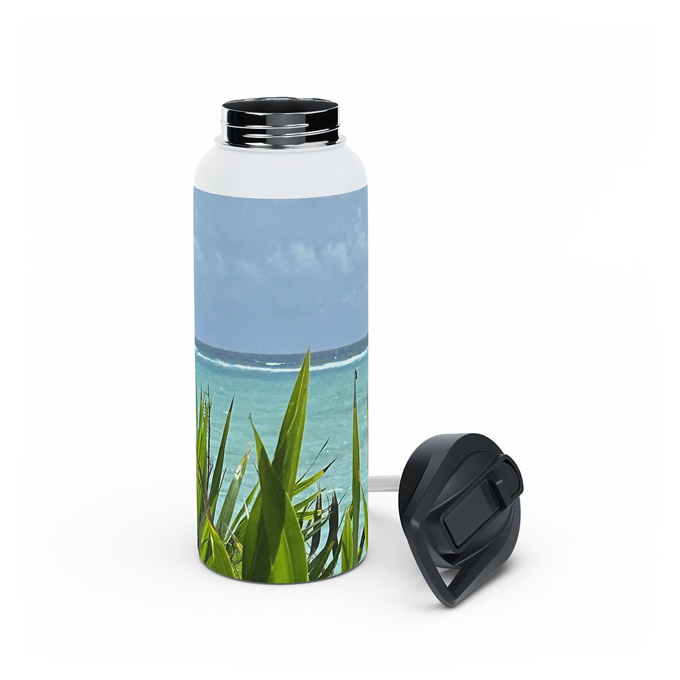Thumbnail: Tropical Beach Stainless Steel Water Bottle — Mexico Caribbean Coast Ocean View