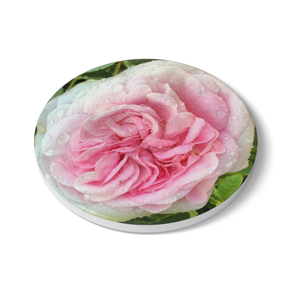 Thumbnail: Pink Rose Ceramic Coaster — Dewy Garden Floral Drink Coaster