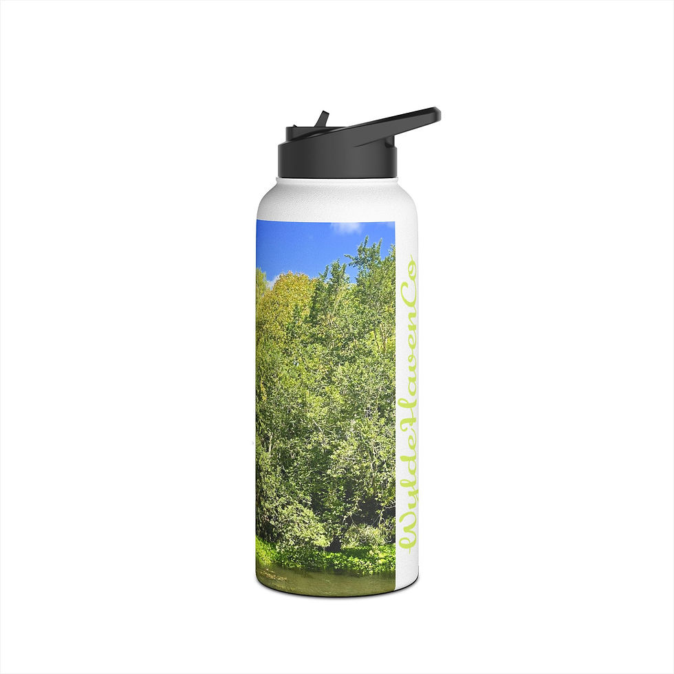 Thumbnail: Nature Scene Stainless Steel Water Bottle 