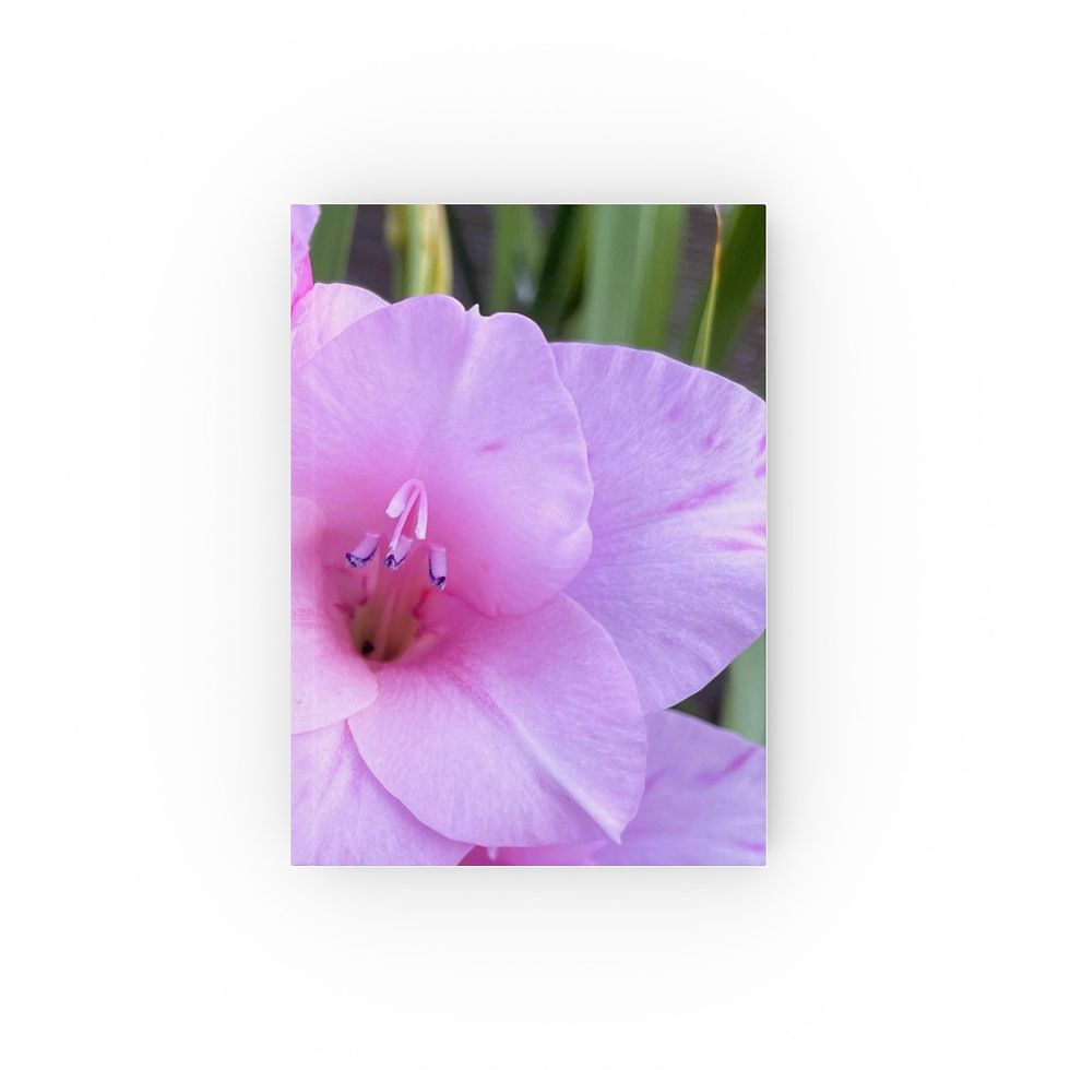 Thumbnail: Pink Gladiolus Hardcover Journal — Floral Hardback Notebook