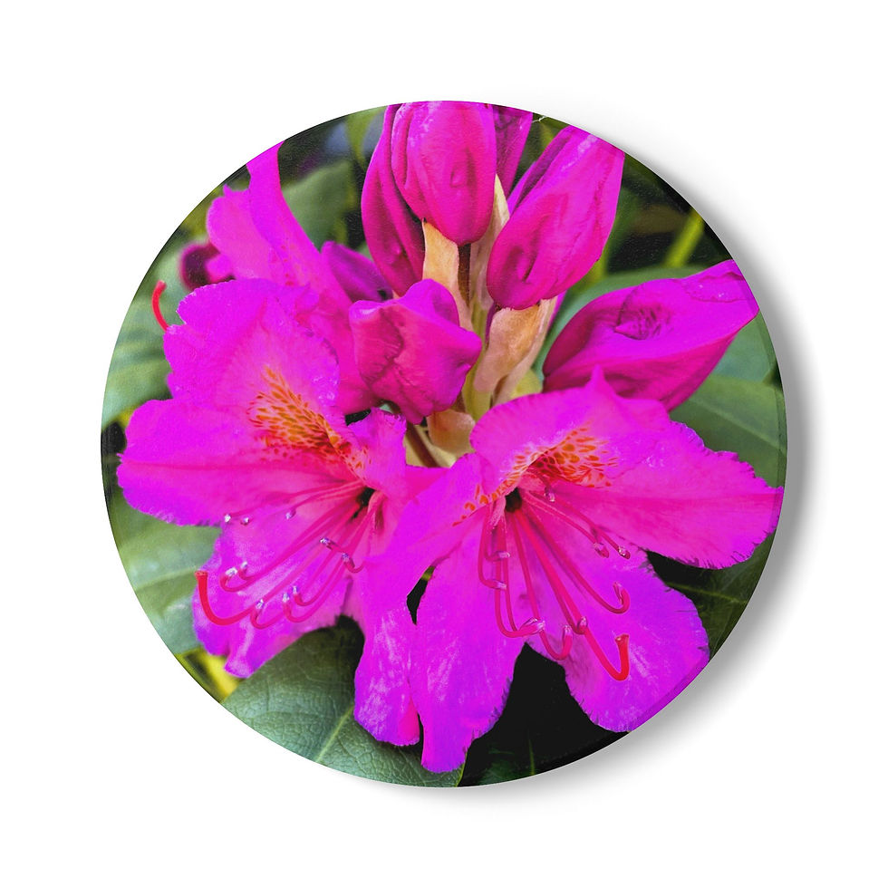Thumbnail: Ceramic Coaster — Vibrant Pink Rhododendron Floral Drink Coaster