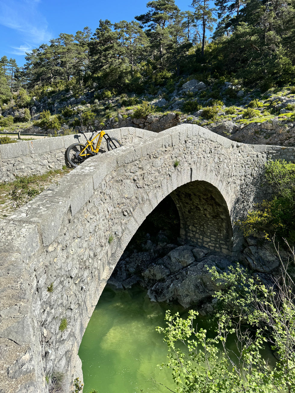 IMG_8654.jpeg