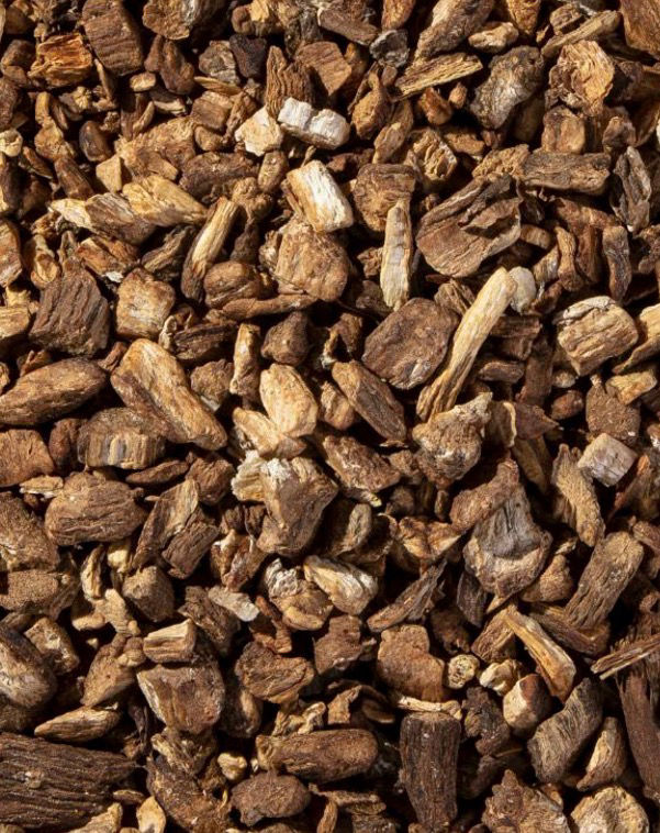 Organic Burdock Root