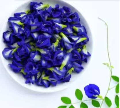 Organic Butterfly Pea Flowers
