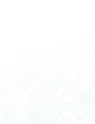 lines-bg-2.webp