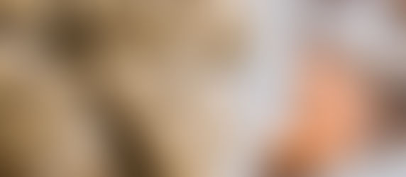 Cozy fall food vibes