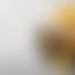 Boosting the Immune System