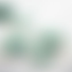 Delicious Superfood Icy Poles