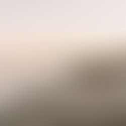 Detox for Your Mind, Body, and Soul at Byron Bay