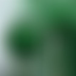 Supercharge your Lifestyle with Byron Bay Detox Greens