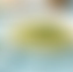 Raw Vegan Zucchini Pasta with Pesto